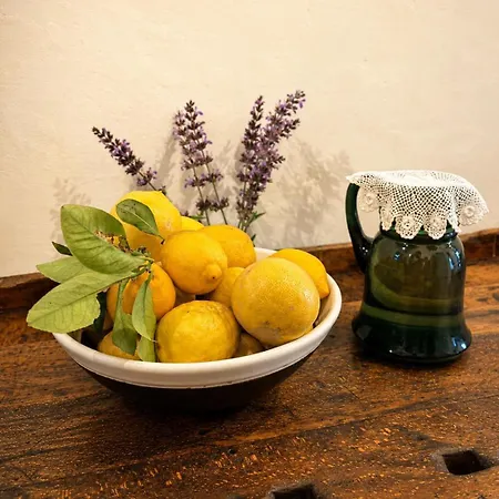 The Old Carpenters House - Corfu Apartment Perivolion